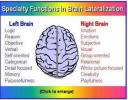 Gambar perbedaan fungsi otak kanan dan otak kiri